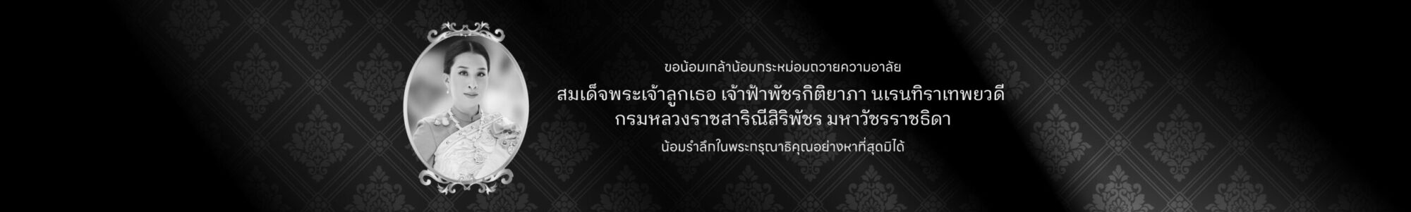 วิสดอม เทอร์ไมท์ เบท